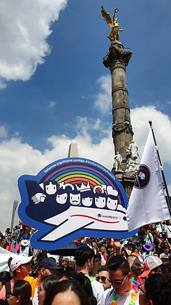 Aeroméxico-participa-en-la-marcha-del-orgullo-LGBTTI-IV.jpeg