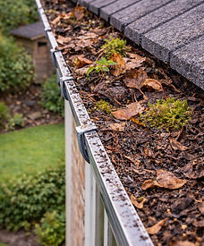 WhatsApp Image 2025-12-26 at 15.04.33.jpeg