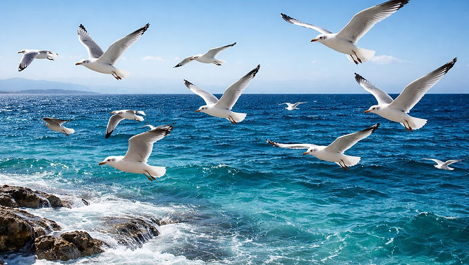 Vouloir et non-vouloir