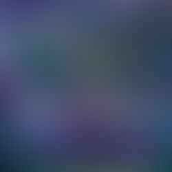 An Unflinching Love Affair with All that is Being Lost: Kyle Scheurmann’s We Could Have Been a Mountain.