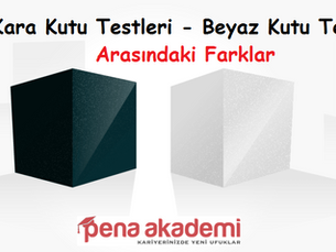 Kara Kutu Testleri ile Beyaz Kutu Testleri Arasında Farklar