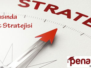 Proje Başarısında Yazılım Test Stratejisi