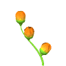 hana_7001.gif