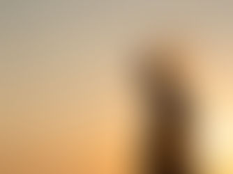 Brain lighting up in sunrise or sunset