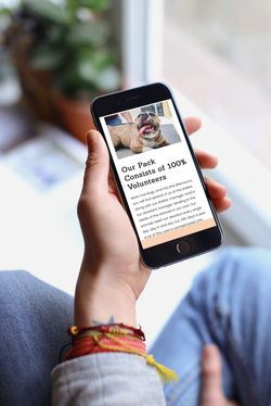 Website design on iPhone