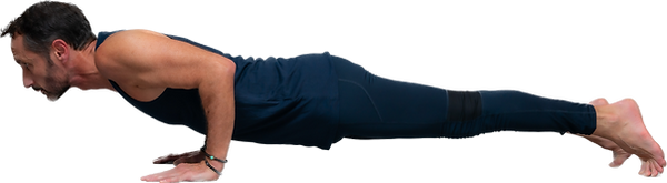 Chaturanga dandasana