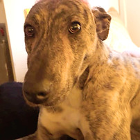 fec63250-c750-4d5c-9f5c-001d88775744_edi