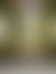 Backyard Income Secrets - Free Private Insider Podcast