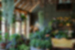 greenhouse-website-summer-2026.jpg
