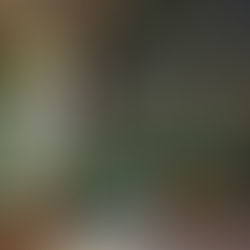 Nashville Proposal Spots