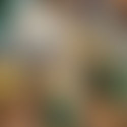 PODCAST Episode #6 WILD: I Like the Taste of Grass