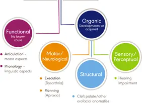 Understanding Speech Sound Difficulties in Speech Therapy
