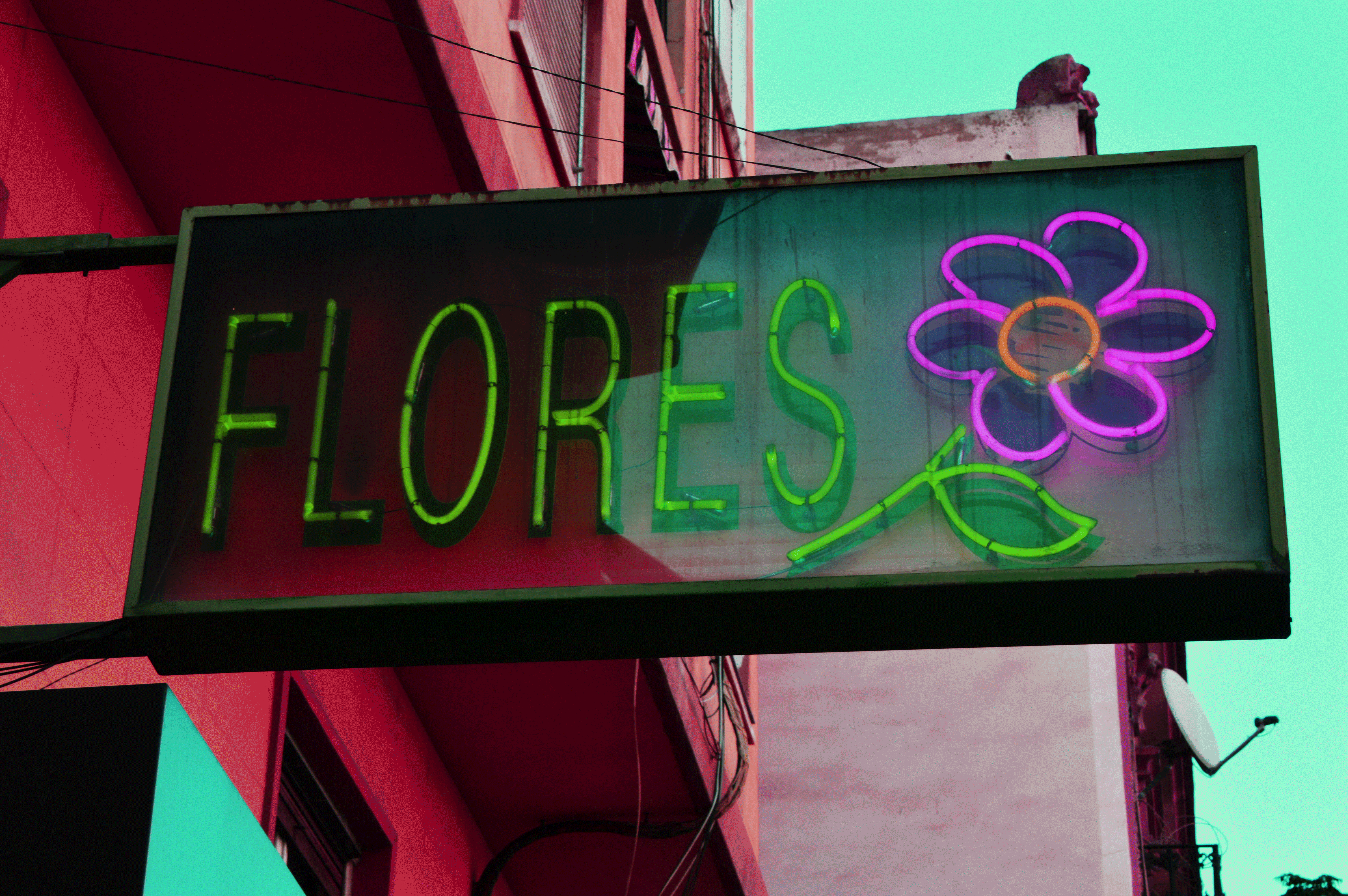 flor-6
