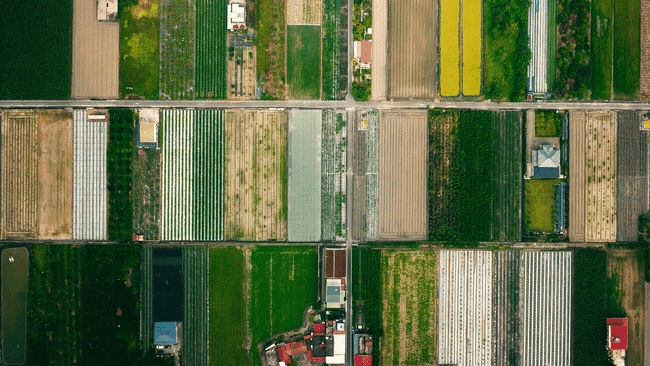 Kaohsiung_full_1109_3.gif