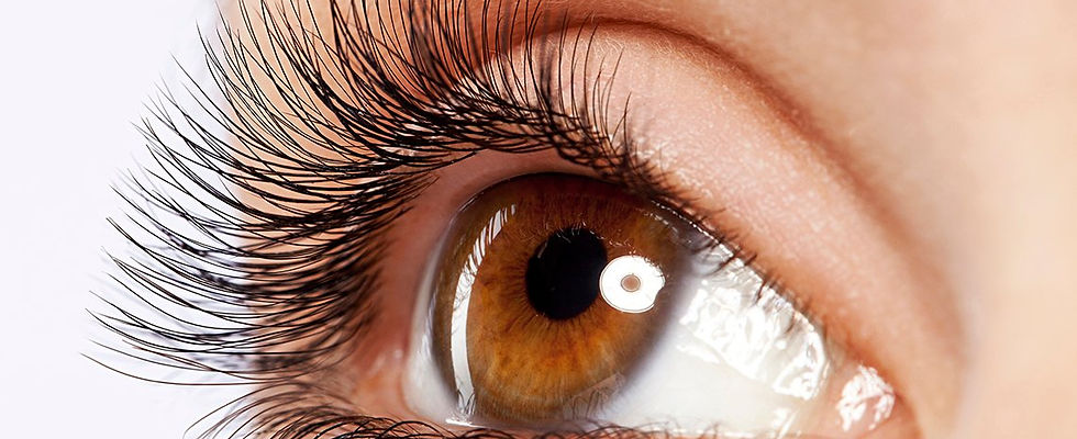 lash.jpg