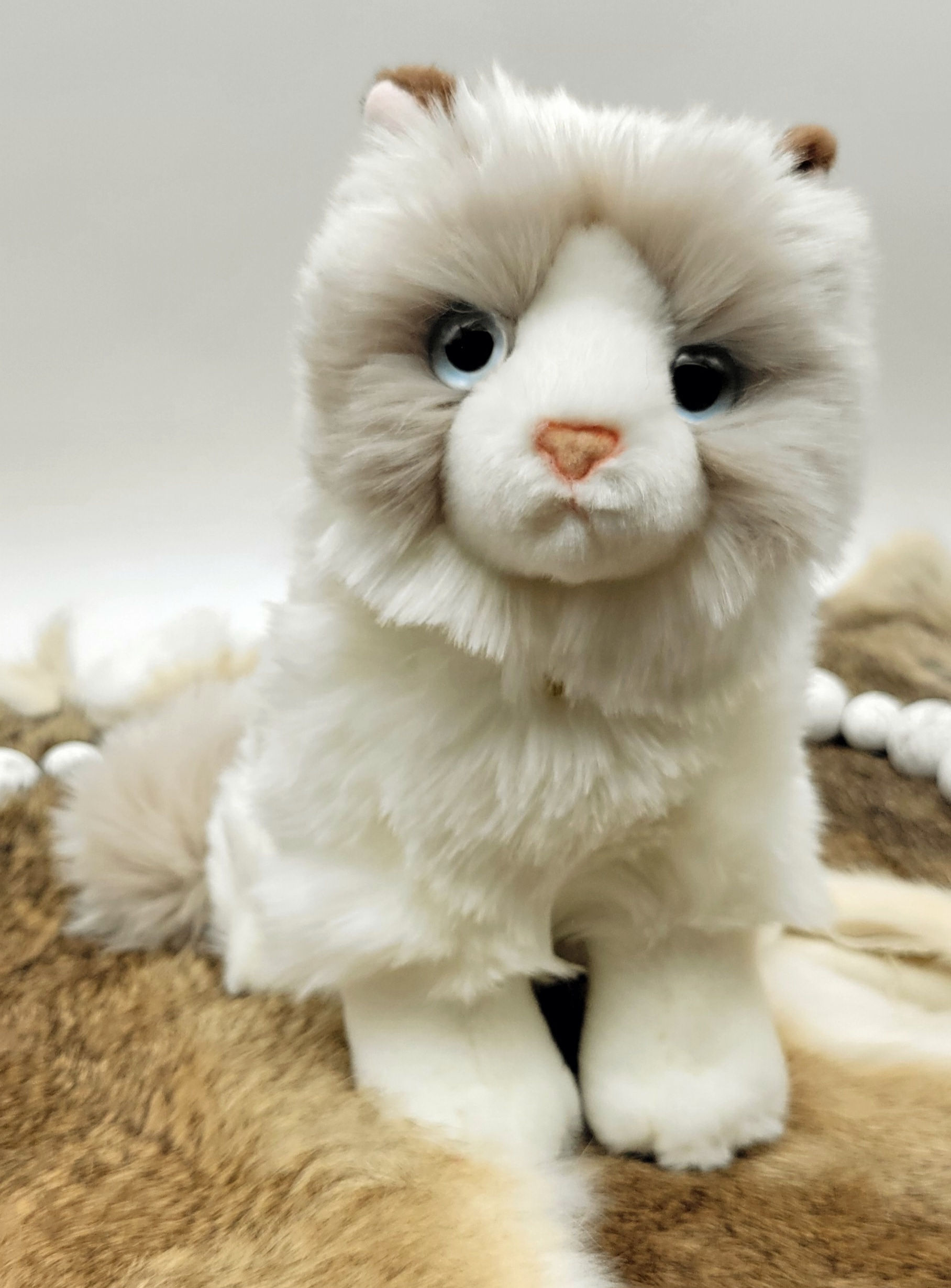 Ragdoll Cuddly Urn