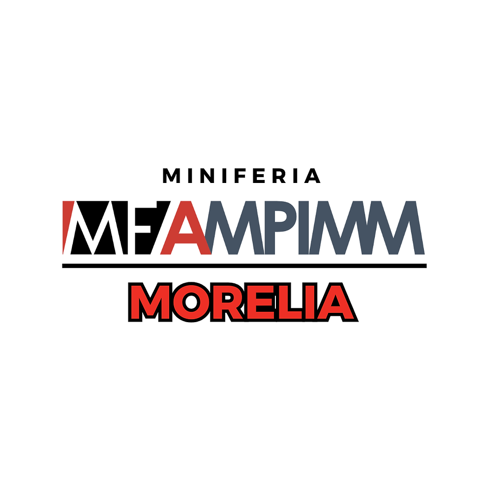 Mini Feria MF-AMPIMM MORELIA