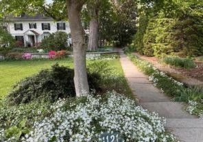 1121 Spring Grove 23