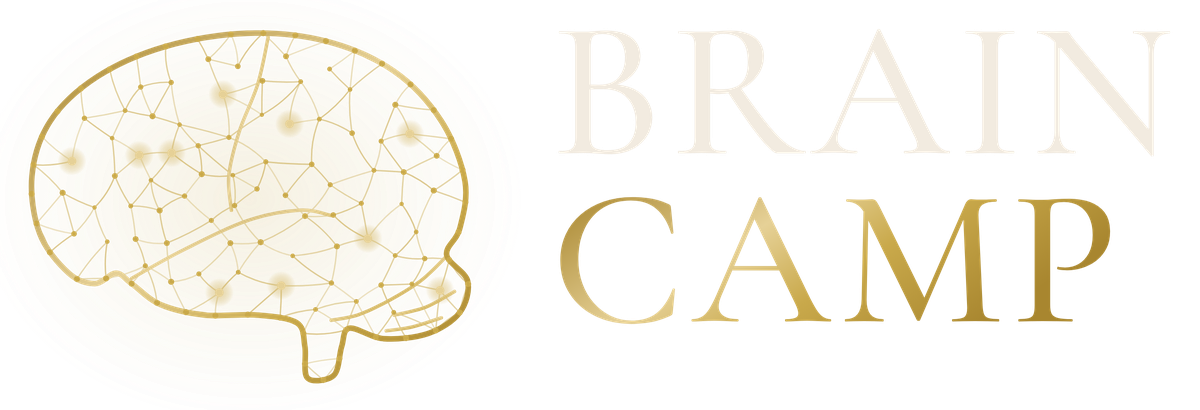 Brain Camp