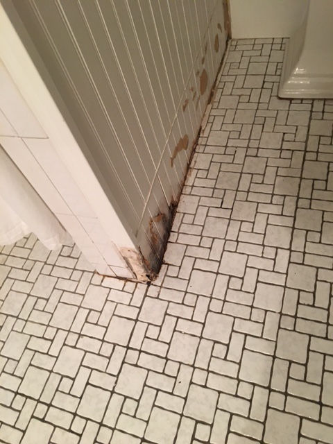 A collapsed sewer line caused a backup into the laundry room and up the bathroom's shower drain - a total 'category three' disaster. Everything had to go.