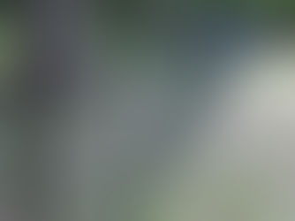 What is the average cost of a chain link fence?