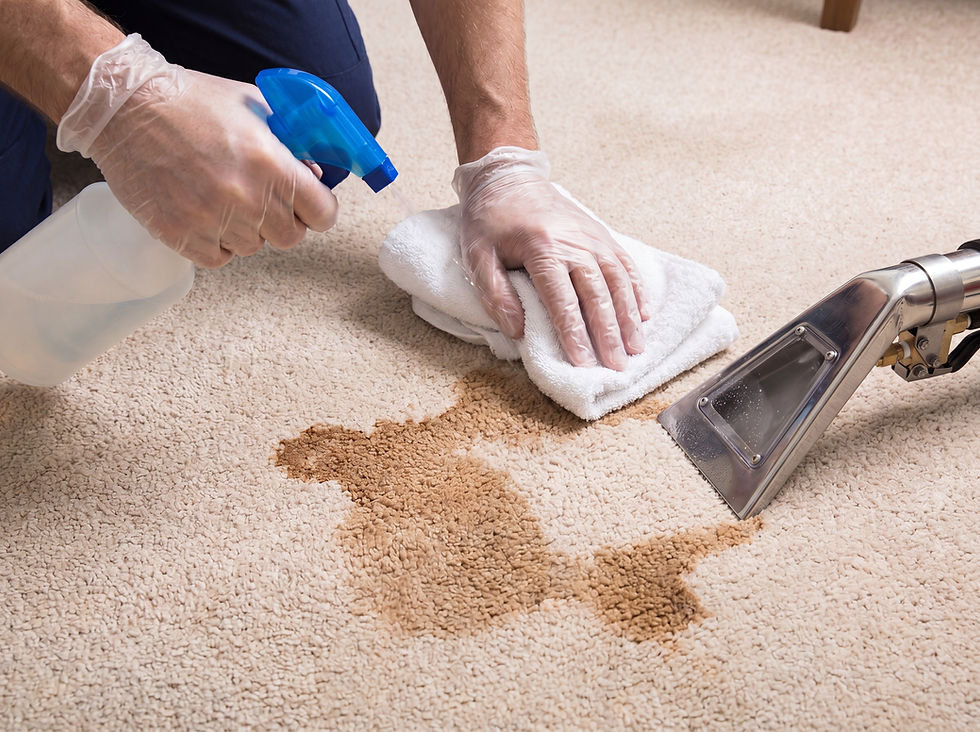 Carpet stain treatment for pet-related marks and odours
