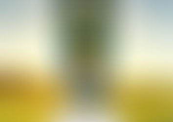 Torneio de Futsal Sub-14 promete movimentar a Semana Santa
Competição está prevista para acontecer no dia 3 de abril de 2026 e reunirá jovens talentos do futsal