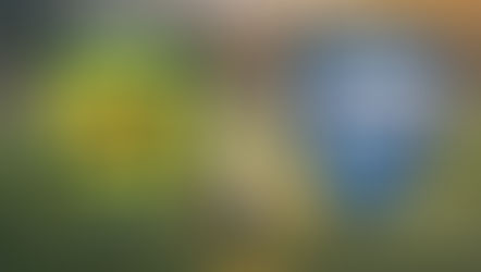 Jogo beneficente será realizado em Tracunhaém no dia 28 de março
na Zona da Mata Norte de Pernambuco.