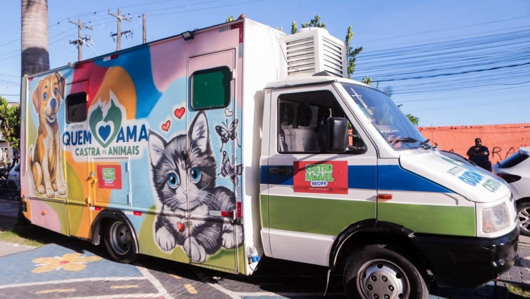 Recife inicia Castramóvel com mais de 500 vagas gratuitas para cães e gatos