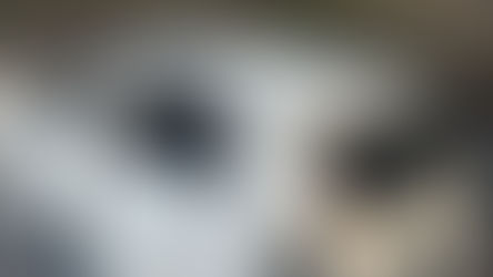 Polícia Civil deflagra Operação Heres para apurar duplo latrocínio e extorsão