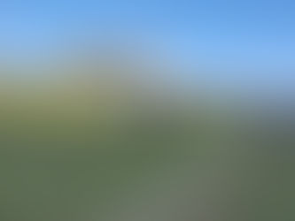 quartas de final do campeonato carpinense de 2023 estão definidos! Neste domingo (30),