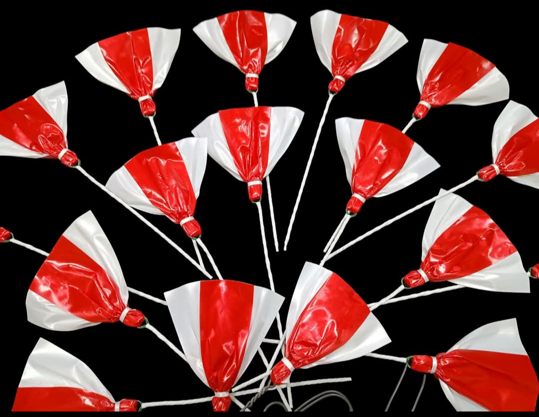 Cockscomb flights x 7