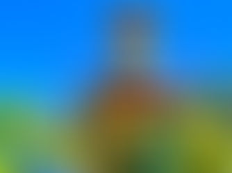 🥃 Cachaça Artesanal Premium x Cachaça Industrial: entenda as diferenças, categorias e madeiras