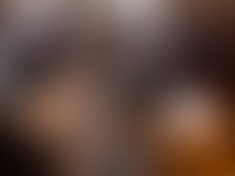 A questão da penhora do imóvel bem de família de valor elevado