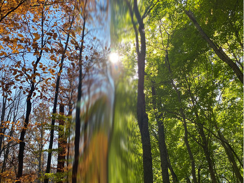 nature scenes