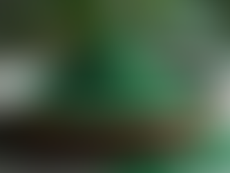 Are trending superfoods safe every day?