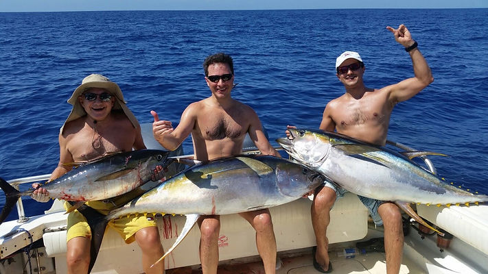 Tuna caught in Panama