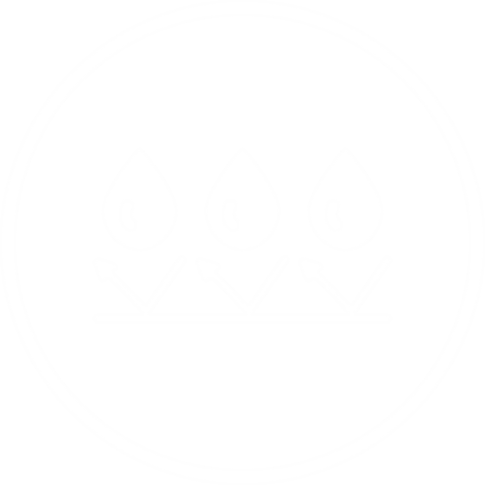 6.png