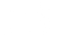 CAA logo_edited_edited.png
