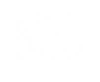 八度文創商標設計_SOAR logo