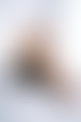 The Last 24 Months Have…