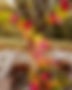 702624FC-3423-48CE-AB96-00C3E973AE1A.JPG