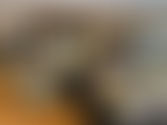 事務所改装後の様子