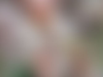 みんなやってくれるかな？