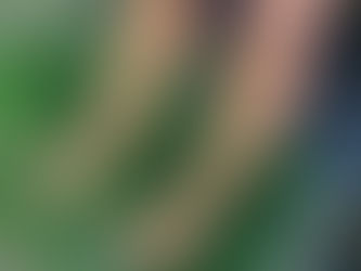 🐠水族館での体験🐧