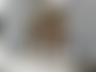 なんじゃこりゃ〜！