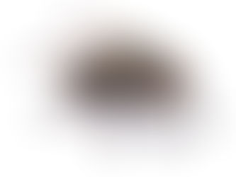 Why FLIES and DISEASE go hand-in-hand: