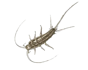 unit pest control