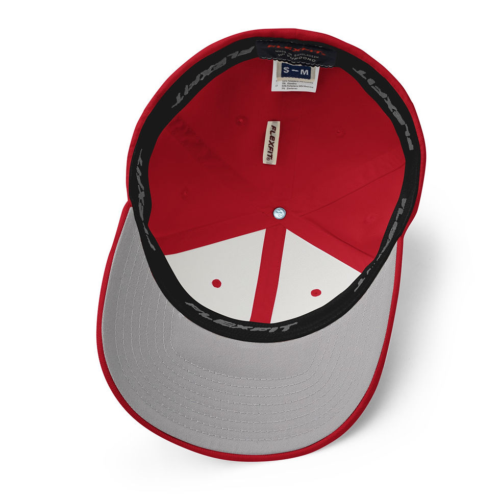 Thumbnail: SHIB logo Fitted Cap (Twill)