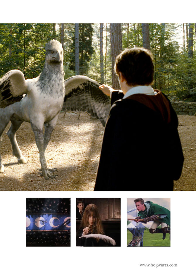 Hogwarts Prospectus-7.jpg